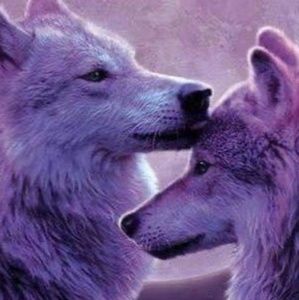 Meet your Posher, Kami